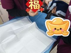 -美联众合动物医院·24h转诊中心