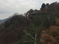 -少华山国家森林公园