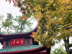 -岳麓山风景名胜区