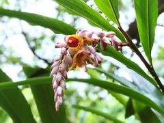 景点-广州珠江公园