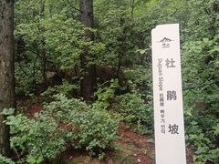 -崂山巨峰游览区