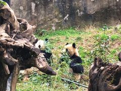 -云南野生动物园