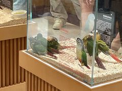 -帕帕拉兹宠物(亚洲旗舰店)