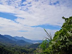-塔川景区