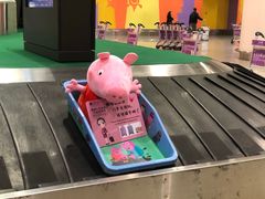 -厦门高崎国际机场-T3航站楼