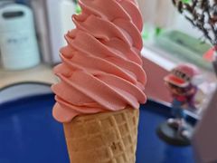-萨朗刀克冰淇淋雪花凉(植物园店)