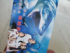 -大连老虎滩海洋公园