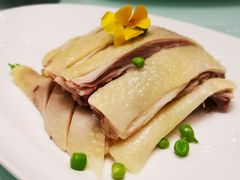 -新吉士·上海菜(浦东LCM置汇旭辉店)