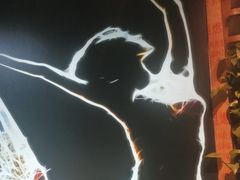 -雀舞云南菜(天津天河城购物中心店)