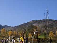 -千年银杏谷文化旅游区