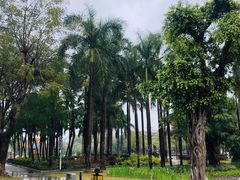-金砂公园
