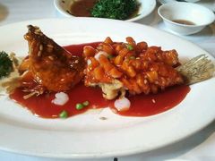 -碧丽宫大酒店(召稼楼店)