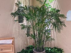-首府山烧烤·小龙虾·KTV(翠堤湾店)