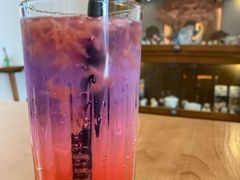 彩虹西柚气泡-猫小主咖啡·猫咖cat cafe(福田店)