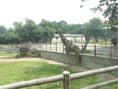 -西安秦岭野生动物园