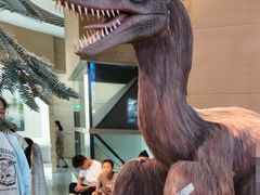 -安徽省地质博物馆