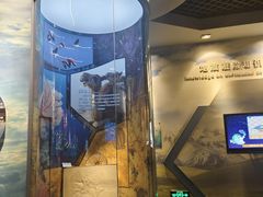 -甘肃地质博物馆