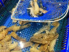 -拉完海鲜大排档(温岭店)