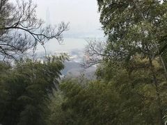 -紫金山天文台