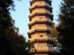 -灵谷景区