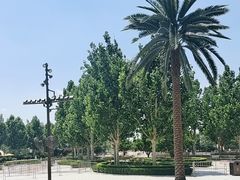 -环球影城莲花园 The Lotus Garden Universal Studios 