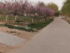 -永定河休闲森林公园