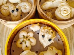 -嘉北郊野公园