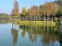 -顺峰山公园