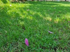 -维乐口腔医院(福清院)