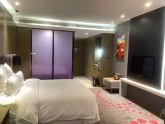 -南京禄口机场雅高铂尔曼大酒店