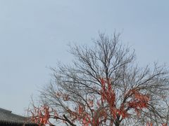 -祥源·阜阳生态乐园