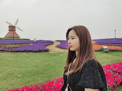 -杭州湾海上花田景区