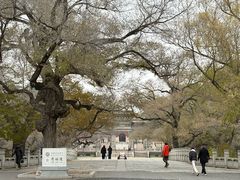 -北陵公园