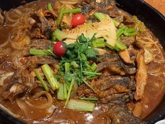 -老板恋上鱼(恒隆广场店)