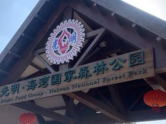 -上海海湾国家森林公园