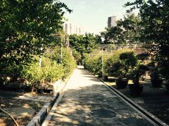 -人民公园(罗湖区)