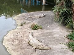 -广州长隆飞鸟乐园