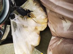 红豆卷-洪记江鹰包行总店