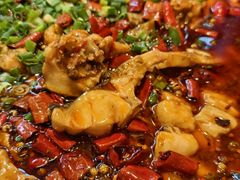 -新概念来凤鱼(璧山店)