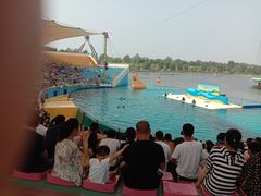 -秦皇岛乐岛海洋王国