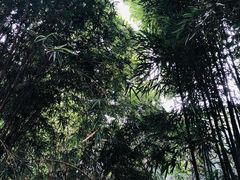 -成都杜甫草堂博物馆