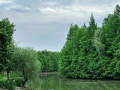 -世纪公园-世纪春沁园