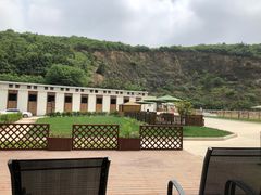 -枫露马术学院(藏书校区)