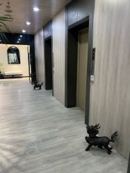 -北京炫美医疗美容