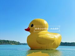 -深圳人才公园