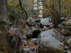 -抱龙峪