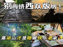 -西双版纳基诺山寨