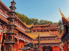 -东莞市大岭山森林公园