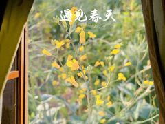 -光明小镇欢乐田园