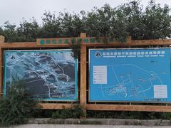 -红花尔基樟子松国家森林公园